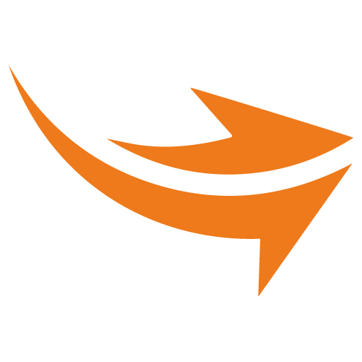 Logo-acecargo